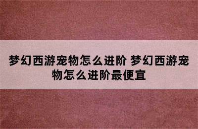 梦幻西游宠物怎么进阶 梦幻西游宠物怎么进阶最便宜